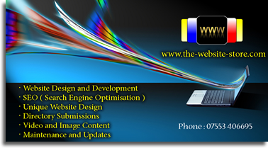 The_Website_Store_affordable_web_design-services_business_card_jpeg